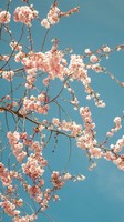 descargar wallpaper de Naturaleza